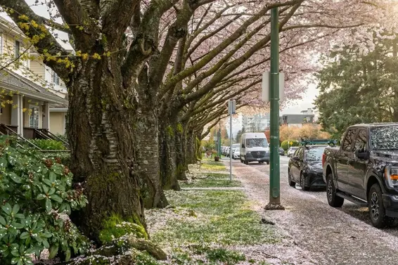 261 East 4th Street, North Vancouver For Sale - image 37