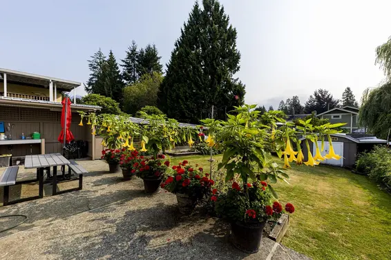 3466 Upton Road, North Vancouver For Sale - image 32