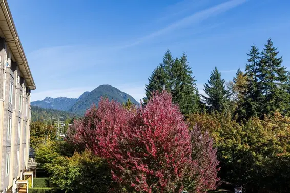 301 2665 Mountain Highway, North Vancouver For Sale - image 30