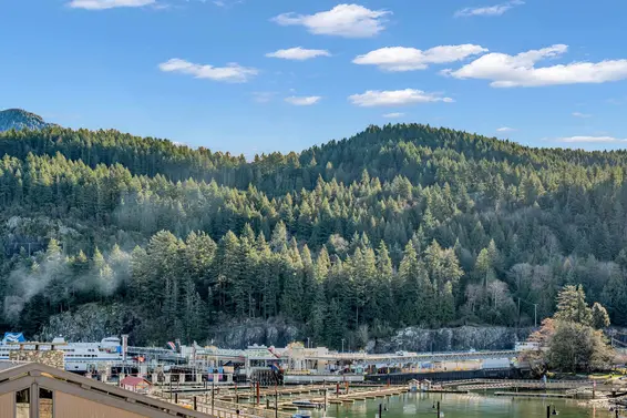 203 6697 Nelson Avenue, West Vancouver For Sale - image 25