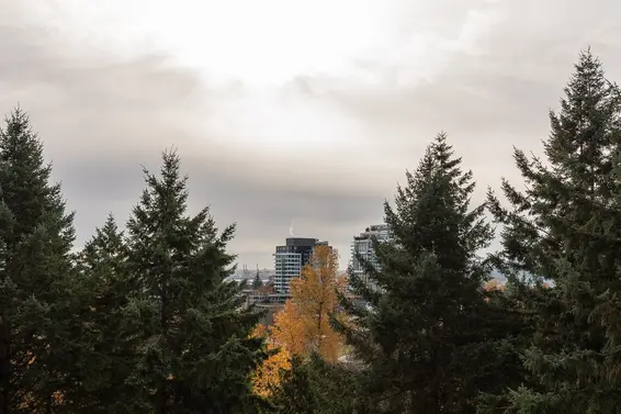 903 2024 Fullerton Avenue, North Vancouver For Sale - image 15