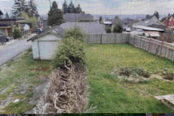 535 East 8th Street, North Vancouver For Sale - image 3