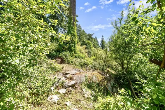 4704 Dogwood Lane, West Vancouver For Sale - image 14