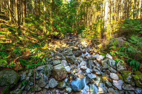 6 1015 Lynn Valley Road, North Vancouver For Sale - image 40
