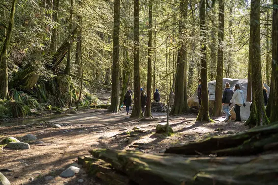 307 1385 Draycott Road, North Vancouver For Sale - image 32