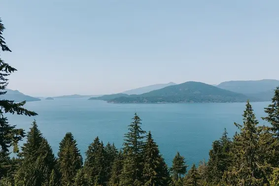 485 Timbertop Drive, Lions Bay For Sale - image 12