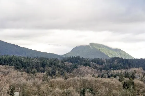 1909 1550 Fern Street, North Vancouver For Sale - image 15