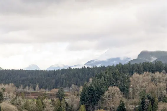 1909 1550 Fern Street, North Vancouver For Sale - image 16