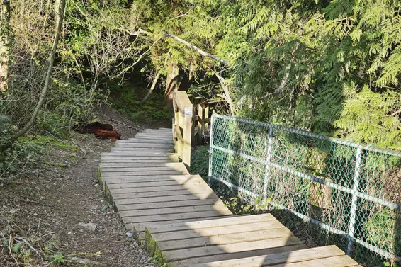 4125 Lynn Valley Road, North Vancouver For Sale - image 34