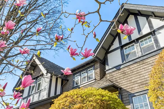 207 116 West 23rd Street, North Vancouver For Sale - image 3