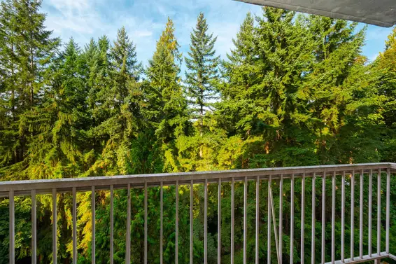 901 2020 Fullerton Avenue, North Vancouver For Sale - image 3