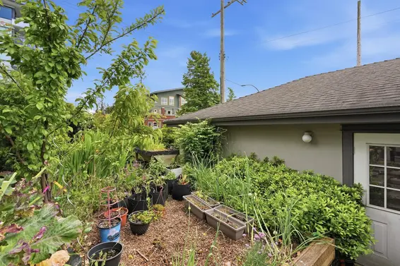 203 West 6th Street, North Vancouver For Sale - image 35