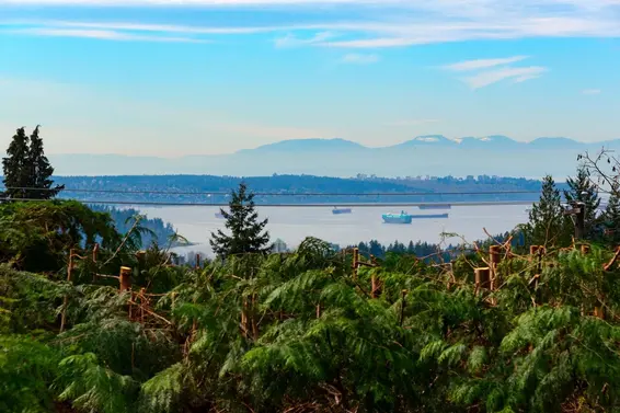 647 Blueridge Avenue, North Vancouver For Sale - image 10