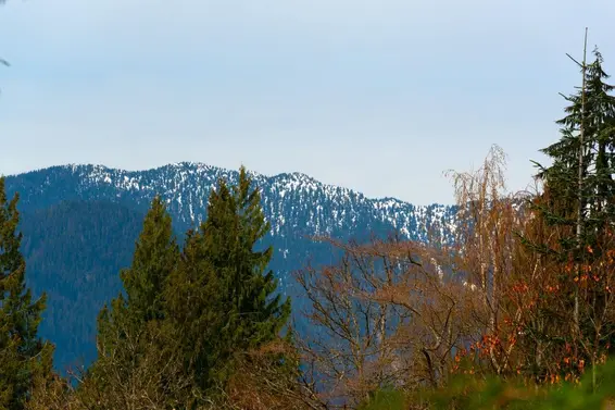 647 Blueridge Avenue, North Vancouver For Sale - image 12