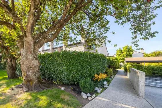 24 230 West 14th Street, North Vancouver For Sale - image 23