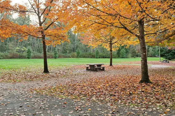 2994 Mt Seymour Parkway, North Vancouver For Sale - image 35