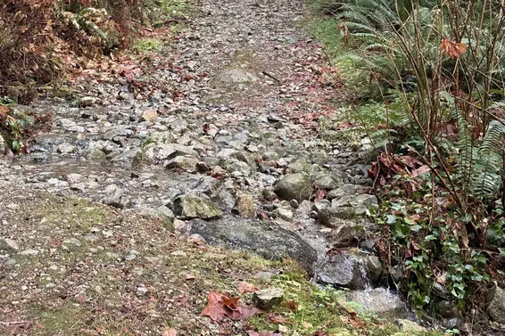 Lot 2 Indian River Drive, North Vancouver For Sale - image 18
