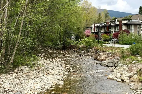 103 735 West 15th Street, North Vancouver For Sale - image 33