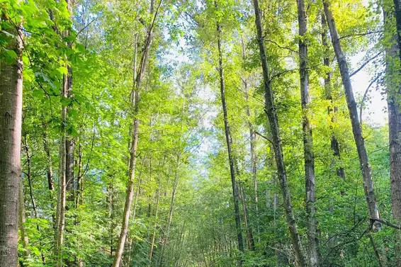 103 735 West 15th Street, North Vancouver For Sale - image 34