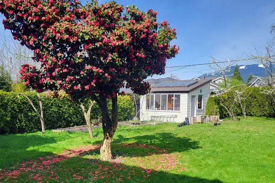 628 East 9th Street, North Vancouver For Sale - image 28
