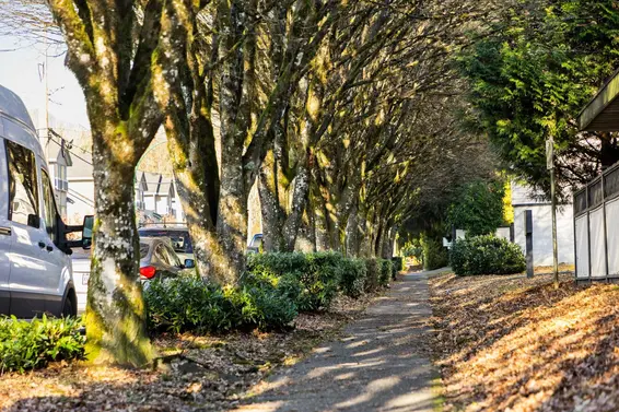 54 912 Premier Street, North Vancouver For Sale - image 25