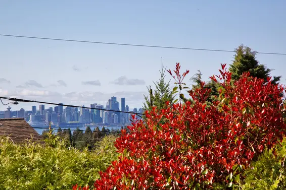 445 West Queens Road, North Vancouver For Sale - image 2