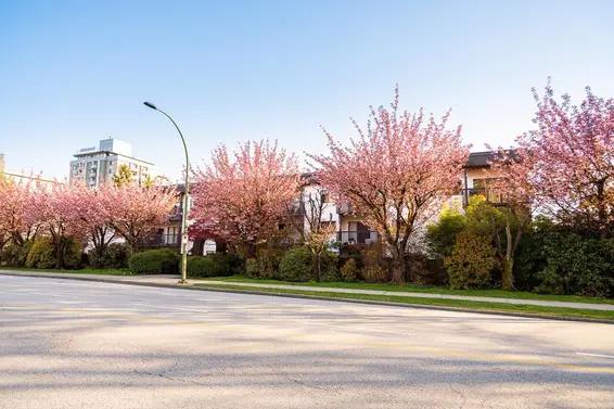 208 211 West 3rd Street, North Vancouver