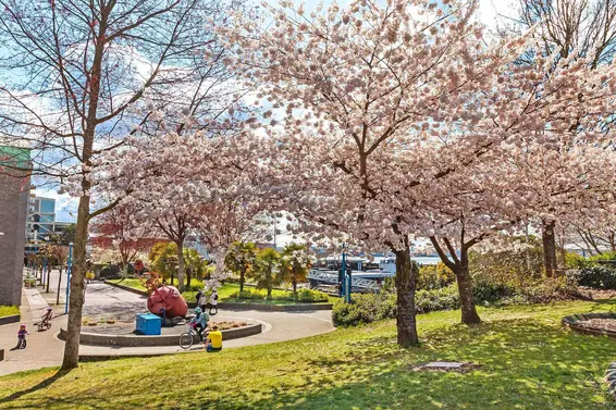 112 240 Mahon Avenue, North Vancouver For Sale - image 40