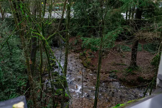 3146 Mountain Highway, North Vancouver For Sale - image 24