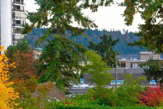 914 17th Street, West Vancouver For Sale - image 33