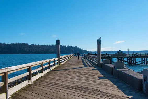 914 17th Street, West Vancouver For Sale - image 39