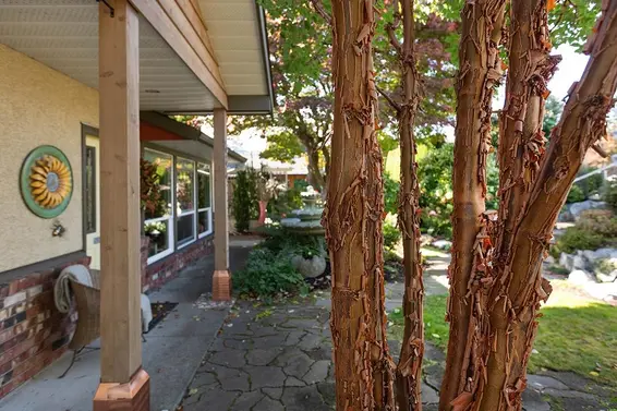 535 East Keith Road, North Vancouver For Sale - image 31