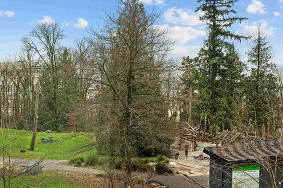 107 733 East 3rd Street, North Vancouver For Sale - image 30