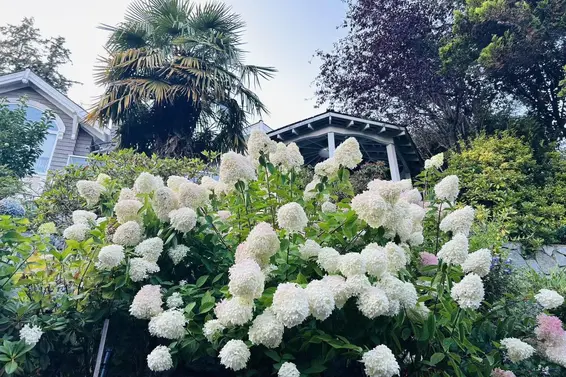 3395 Thompson Crescent, West Vancouver For Sale - image 13