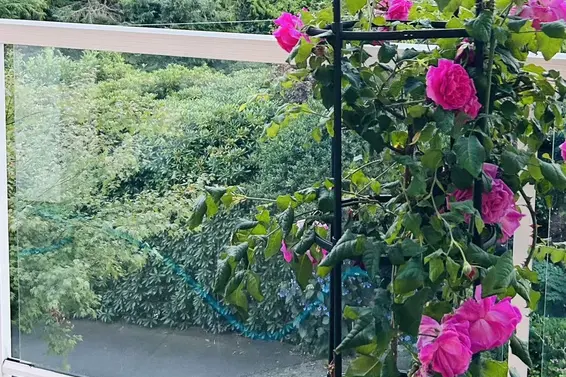 3395 Thompson Crescent, West Vancouver For Sale - image 16