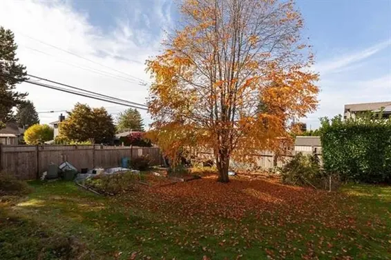 221 West 28th Street, North Vancouver For Sale - image 4