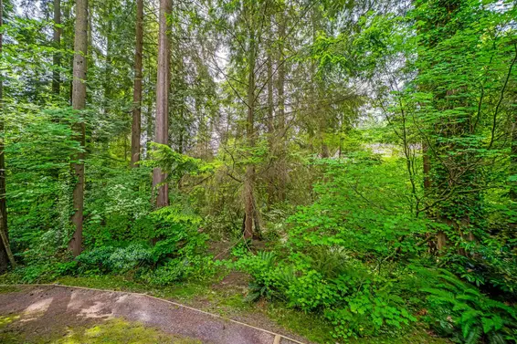 867 Frederick Road, North Vancouver For Sale - image 38