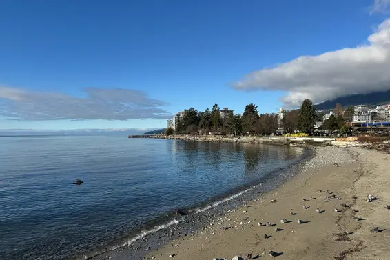 101 1737 Duchess Avenue, West Vancouver For Sale - image 22