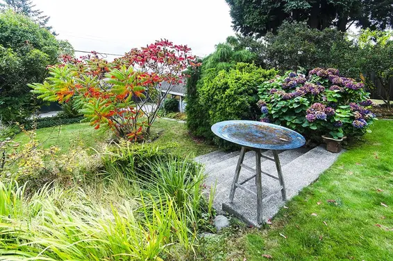 903 East Keith Road, North Vancouver For Sale - image 30