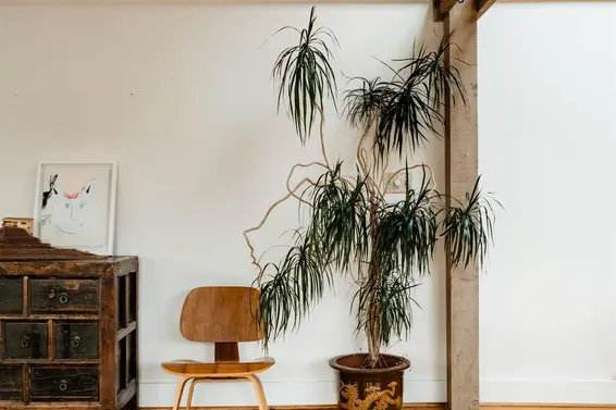 4477 Strathcona Road, North Vancouver For Sale - image 39