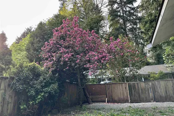 909 Seymour Boulevard, North Vancouver For Sale - image 38