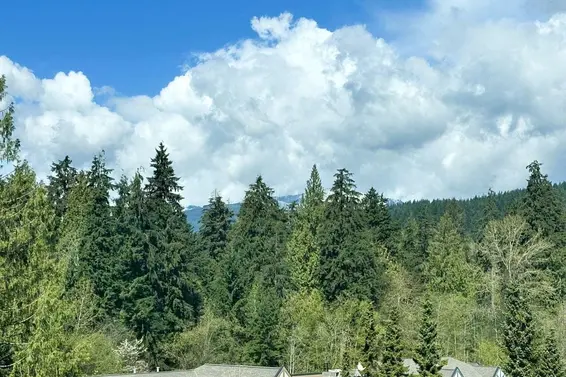 704 995 Roche Point Drive, North Vancouver For Sale - image 35