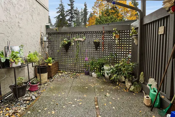 1253 Plateau Drive, North Vancouver For Sale - image 26