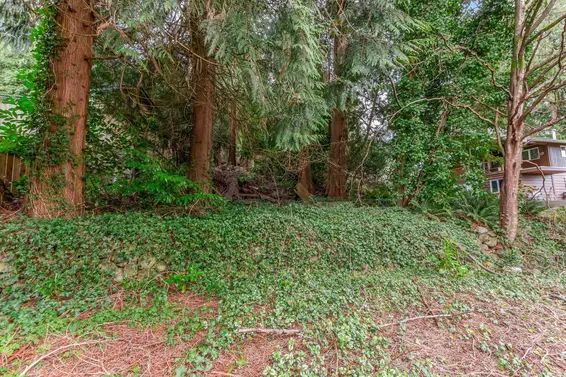 1928 Ridgeway Avenue, North Vancouver For Sale - image 23