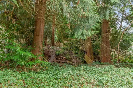 1928 Ridgeway Avenue, North Vancouver For Sale - image 24