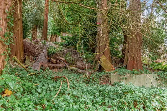 1928 Ridgeway Avenue, North Vancouver For Sale - image 25