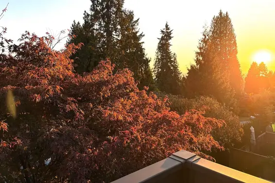 336 East 26th Street, North Vancouver For Sale - image 34