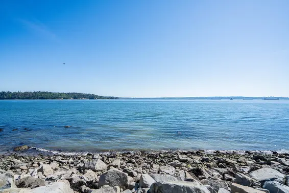 502 2090 Argyle Avenue, West Vancouver For Sale - image 33