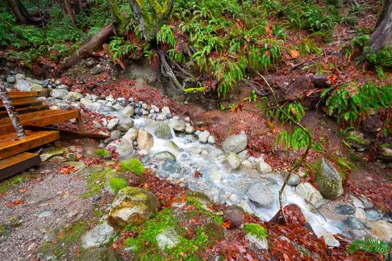 2711 Panorama Drive, North Vancouver For Sale - image 39