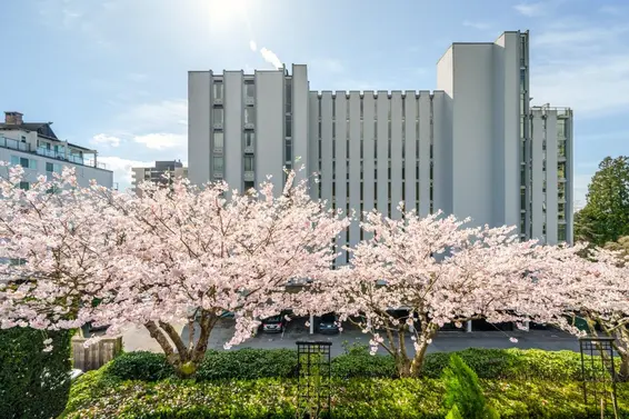 205 1896 Marine Drive, West Vancouver For Sale - image 21